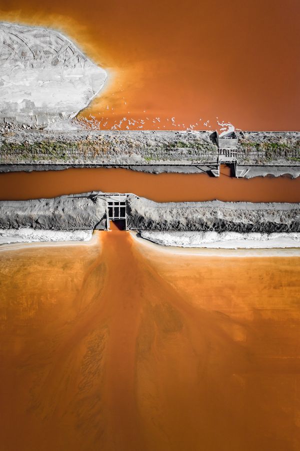 Copper Rush